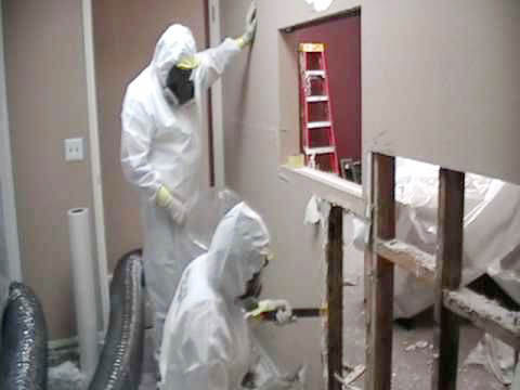 Mold Removal Burr Ridge